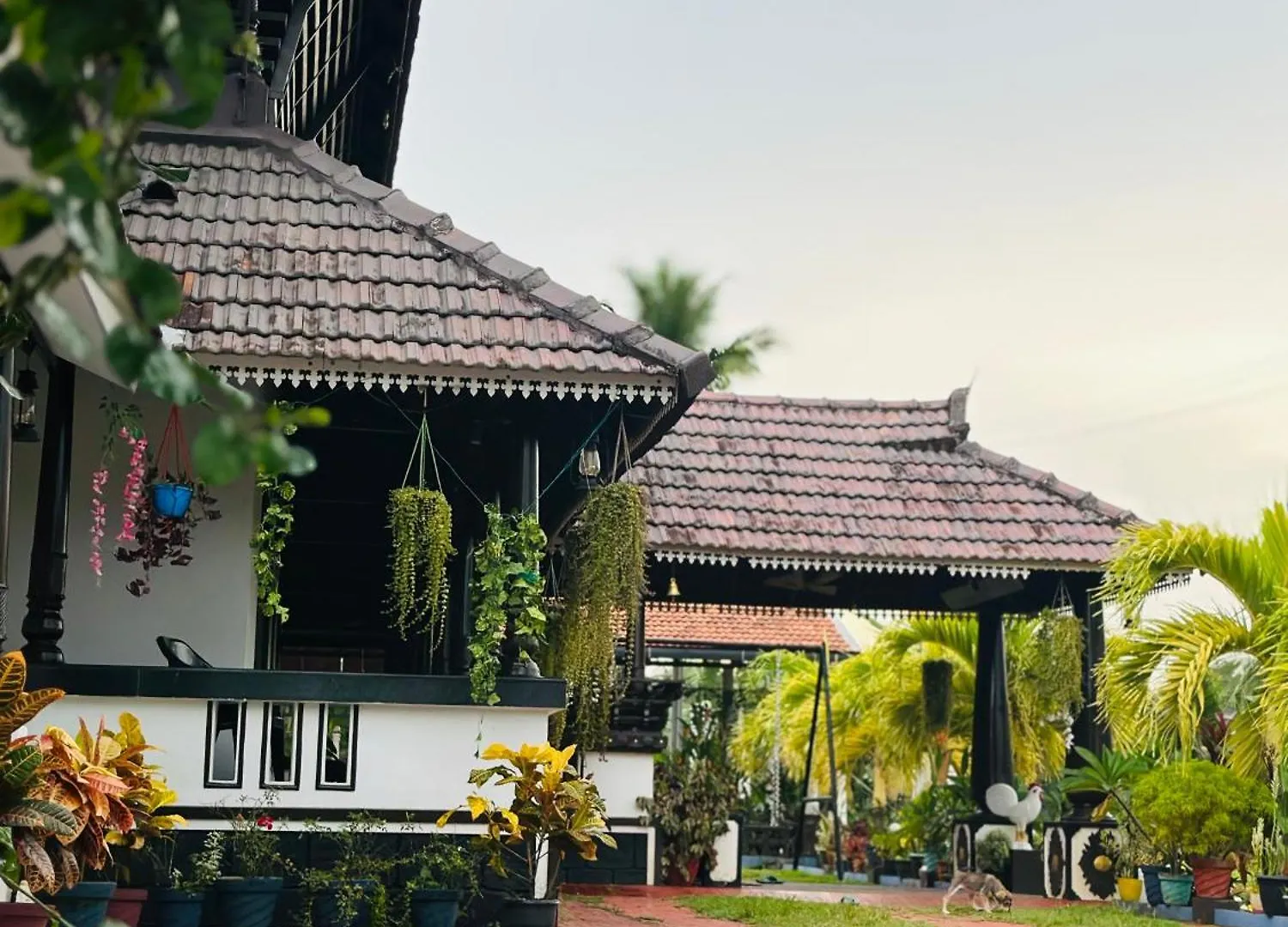 Homestay szállás Arayathu Heritage Villa Resort Kottajam